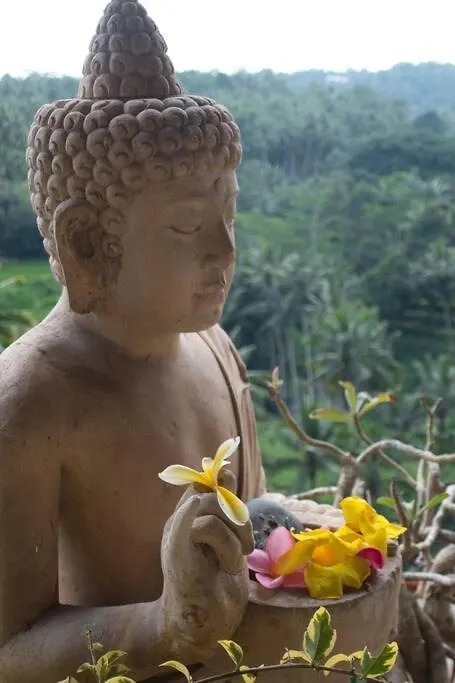Holiday home Heaven View 5 Bedroom Ubud Sayan Indonesia
