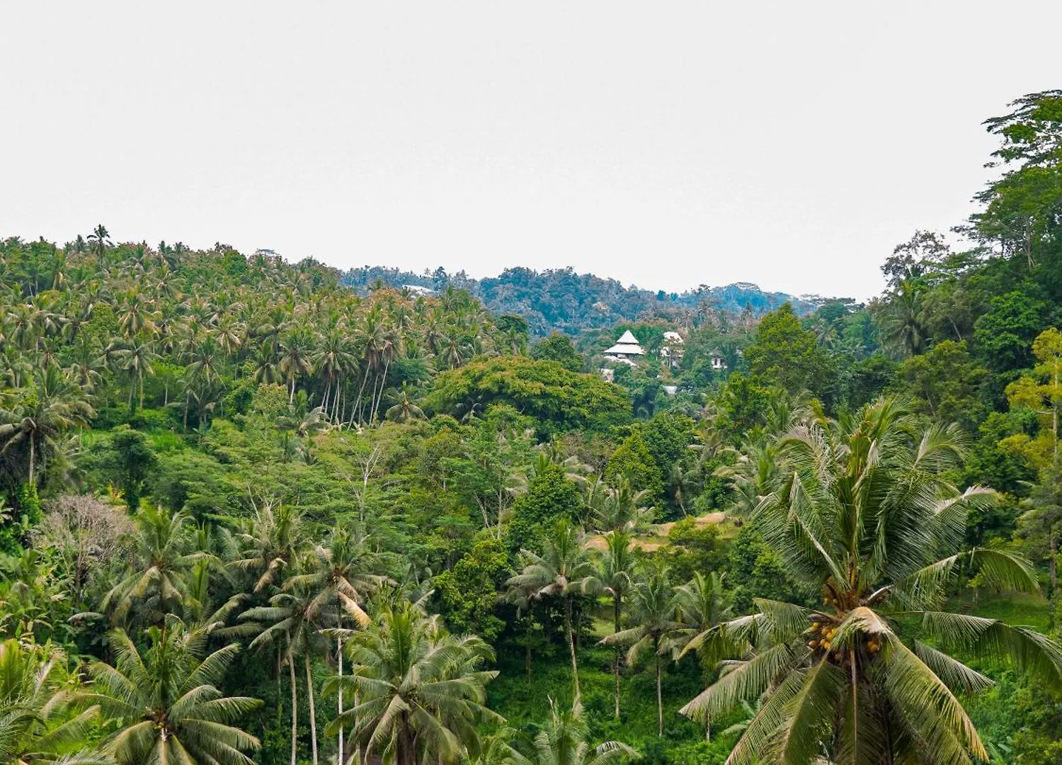 Heaven View 5 Bedroom Ubud Sayan 0*, Ubud (Bali)
